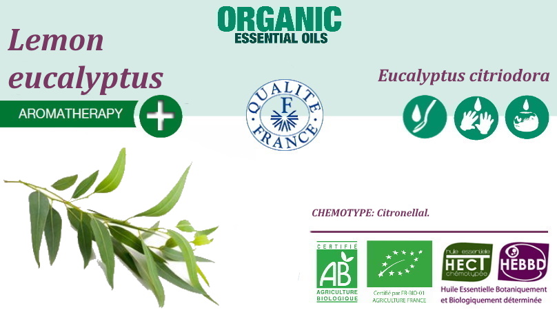 Эфирное масло Эвкалипта лимонного Eucalyptus citriodora BIO 100% ...